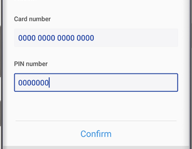 Screenshot of Samsung Pay Wallet Card Number and PIN fields
